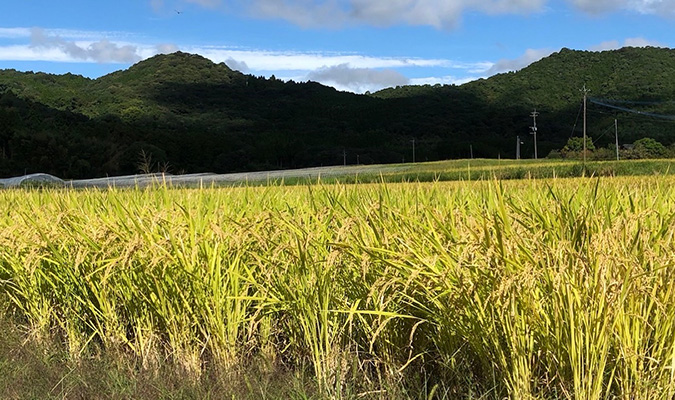 イメージ画像：取り組み